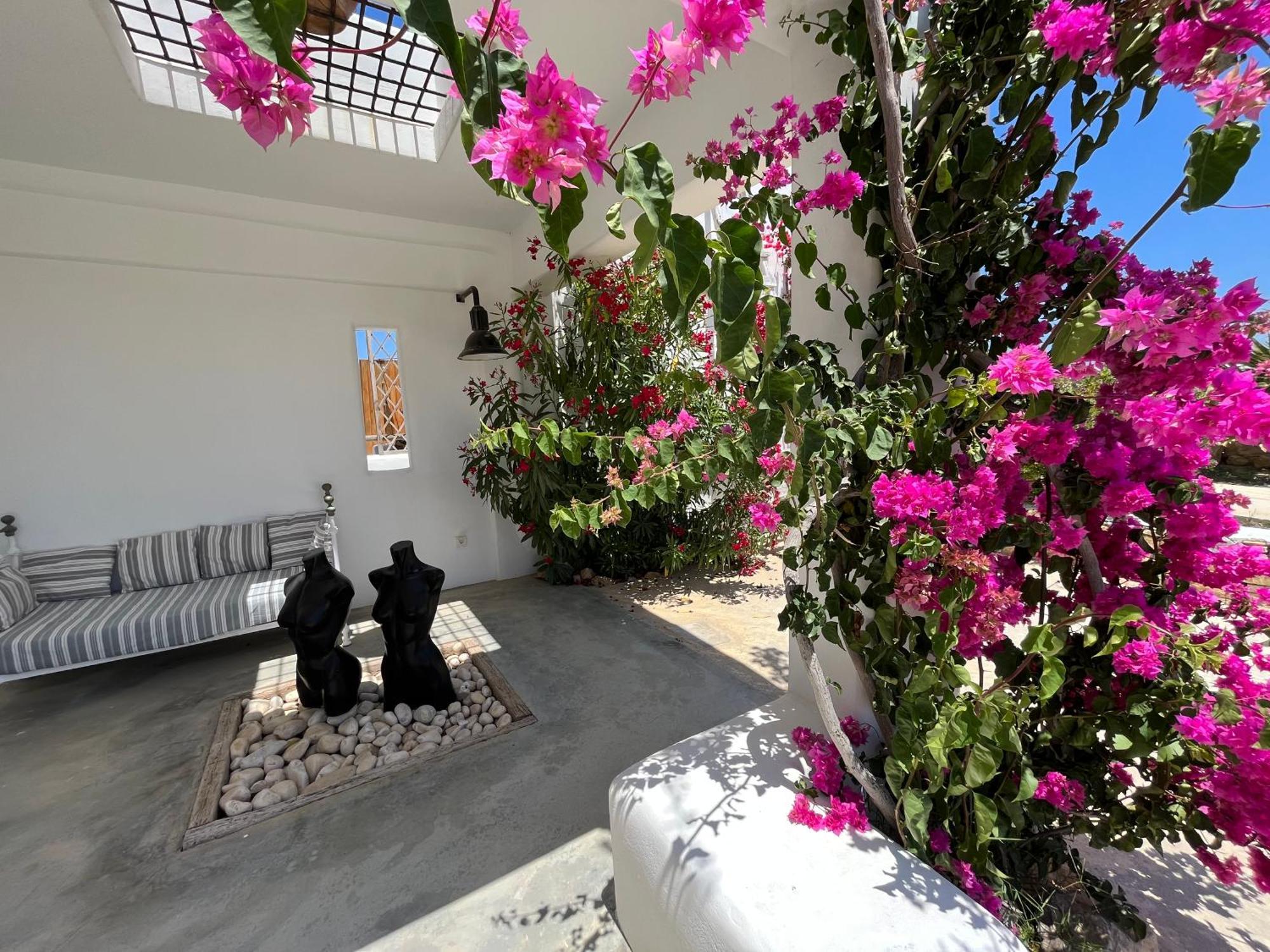 Villa Theia - Selene , Appartement De Charme Pour 4 A 6 Personnes Pres De La Plage Et Du Village De Koufonissi Koufonisia 外观 照片